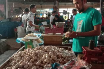 Harga bawang putih turun Rp10 ribu per kilogram di Banda Aceh