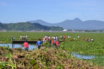 Lantamal VIII bersama masyarakat bersih-bersih eceng gondok Danau Tondano