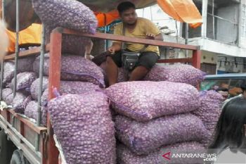 Harga bawang dan cabai di Palu kembali bergerak naik