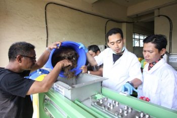 Limbah sawit jadi bahan baku kertas