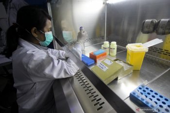 Virus corona kelelawar mirip virus COVID-19 ditemukan di China
