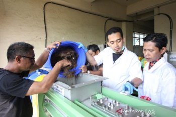 Balai Penelitian dan Pengembangan Kemenperin optimalkan daur ulang kertas