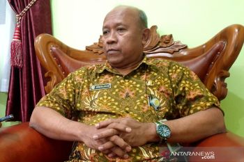 Kalteng sulit kembangkan budidaya bawang putih