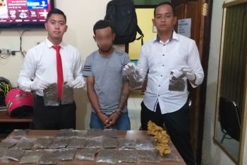 Polisi bandara Sentani Jayapura amankan pemuda bawa ganja