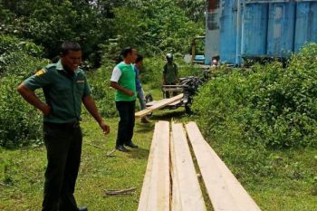 BKPH amankan kayu olahan ilegal di Nagan Raya