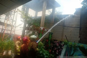 Belasan rumah terbakar di Cengkareng diduga dari masak di masjid