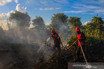 BMKG warning prompts early wildfire prevention efforts: minister