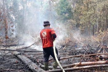 Siak paling luas terbakar di Riau, bupati heran