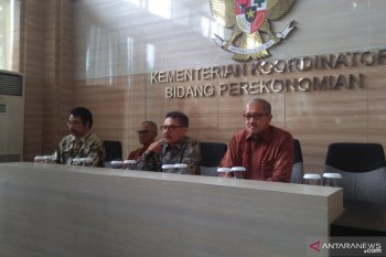 Pemerintah menegaskan tidak ada kenaikan tarif listrik dan harga elpiji