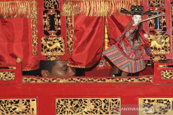 Pertunjukan wayang Potehi