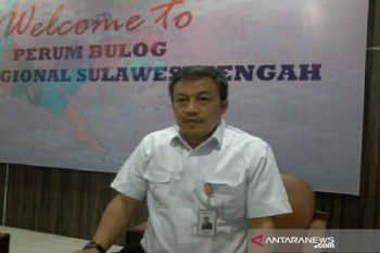 Bulog Sulteng sambut gembira pemulihan irigasi Gumbasa di Sigi