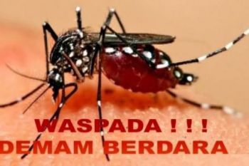 Bantul catat 160 kasus demam berdarah awal 2020