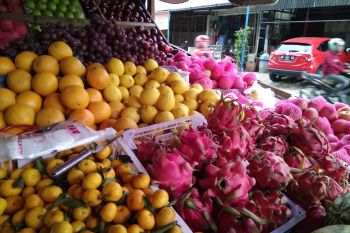 Dampak virus corona picu penjualan buah impor di Makassar menurun
