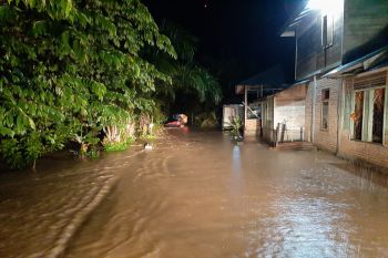Ratusan rumah terendam banjir di Pasaman Barat