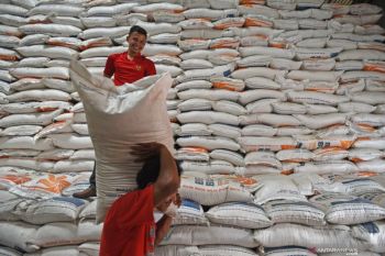 Stok beras Bulog Sulut dan Gorontalo capai 6.567 ton