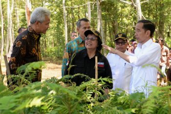 Jokowi reminds aides of carbon emission reduction target in 2020