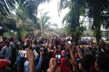 Diduga bermasalah, Gubernur Kalteng perintahkan PT SSM hentikan aktivitas