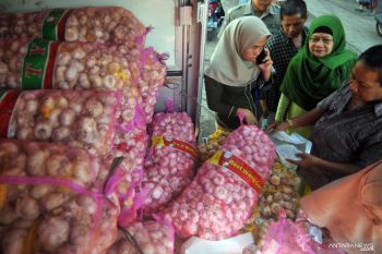 Kenaikan harga bawang putih di Payakumbuh belum berdampak ke bahan pokok lainnya