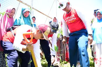 Bintahwil "Garuda Di Lautku" tanam ribuan pohon di Pulau Kodingareng Lompo