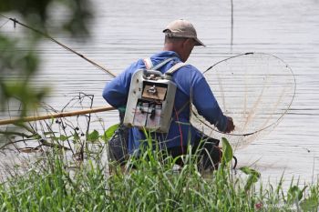 Tegas, masyarakat usulkan pelaku ilegal fishing tembak di tempat