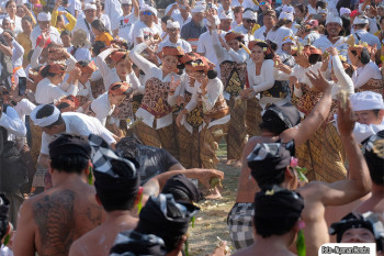 MASYARAKAT DESA ADAT KAPAL BADUNG IKUTI TRADISI PERANG KETUPAT