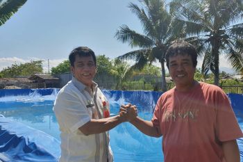 OPINI - Desa cerdas, solusi keluar dari ketertinggalan