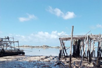Warga saksikan minyak hitam cemari Pantai Senggiling, Bintan