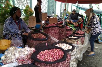 Surat edaran Disperindag Sulsel bantu tekan harga bawang putih