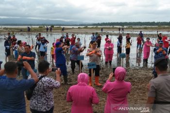 Polda Sultra menanam 15.500 mangrove di pesisir pantai Kendari