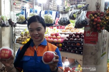 Isu pembatasan impor, harga buah lokal di Solo naikk