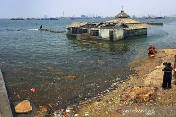 Adapt together or be eliminated: land subsidence in North Jakarta