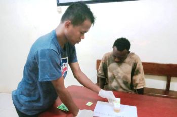 Polres Merauke tangkap pelaku pemilik narkotika jenis ganja