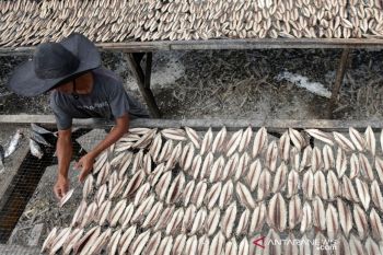 Pengolahan ikan kayu