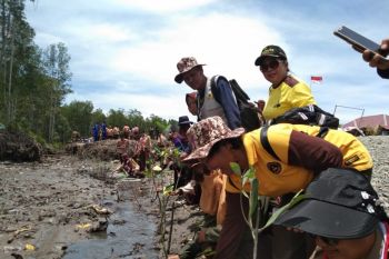 Polisi Mimika tanam pohon mangrove di pesisir pantai Poumako