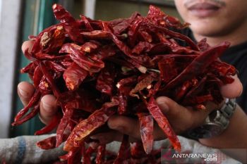 Harga cabai merah kering naik drastis