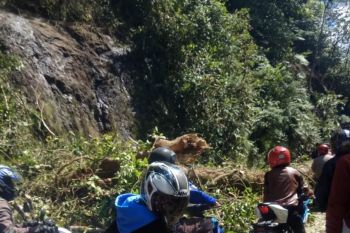 Flash - Longsor di Silaing, jalan Padang-Bukittinggi tidak dapat dilalui kendaraan
