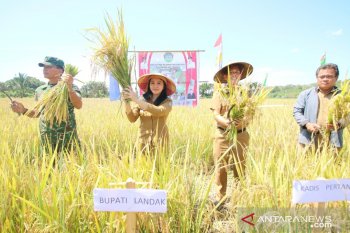 Bupati Landak, Kalbar minta Kementan penuhi kebutuhan pupuk petani