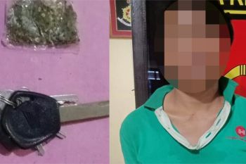 Digeledah petugas di pinggir jalan, pemuda ini langsung mengaku pemilik ganja