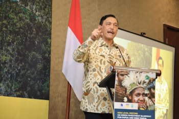 Luhut luncurkan konsep investasi hijau untuk Papua dan Papua Barat