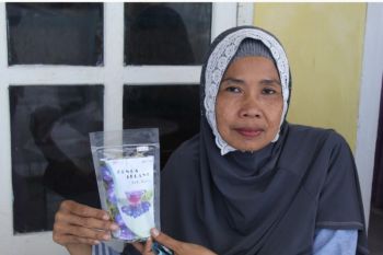 Manfaatkan lahan sempit, KWT buat produk unggulan teh bunga telang