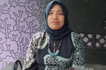 Bawaslu Karimun uji materi UU Pilkada ke MK