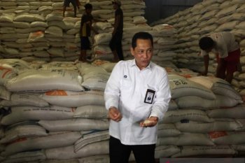 Buwas pastikan beras Bulog sisa impor kualitasnya masih bagus dan layak konsumsi