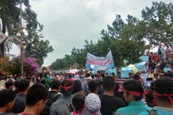Polda Riau disarankan keluarkan status DPO Plt Bengkalis
