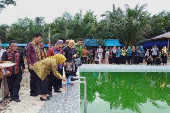 Kolaka Timur  mendorong pengembangan sektor pariwisata
