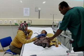 Serangan DBD di Kota Kupang terus meningkat