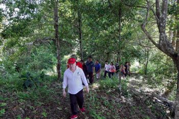 Wabup Palandung survei jalan  Makoa - Pangilolong