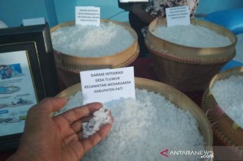 Harga garam jatuh, Pemkab Pati desak pembatasan impor