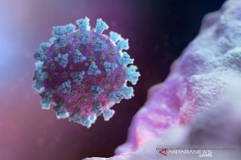 Coronavirus outbreak: a common burden, do not discriminate