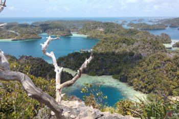 Resor asing larang operator wisata lokal kunjungi kawasan di Raja Ampat