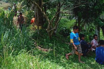 Tak Pulang sejak Sabtu, Upit Ane pamit ke keluarga cari pinang